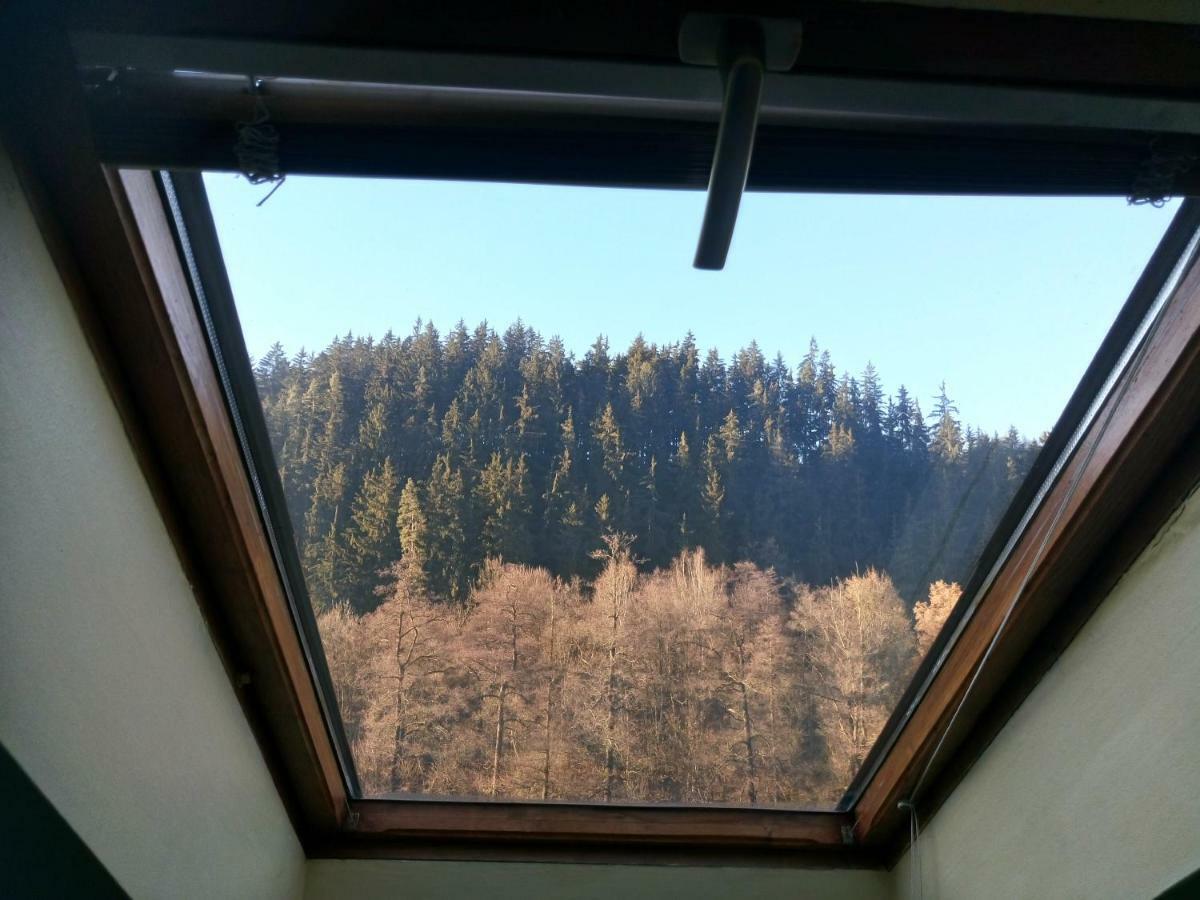 Penzion Havaj Karlovy Vary Ngoại thất bức ảnh
